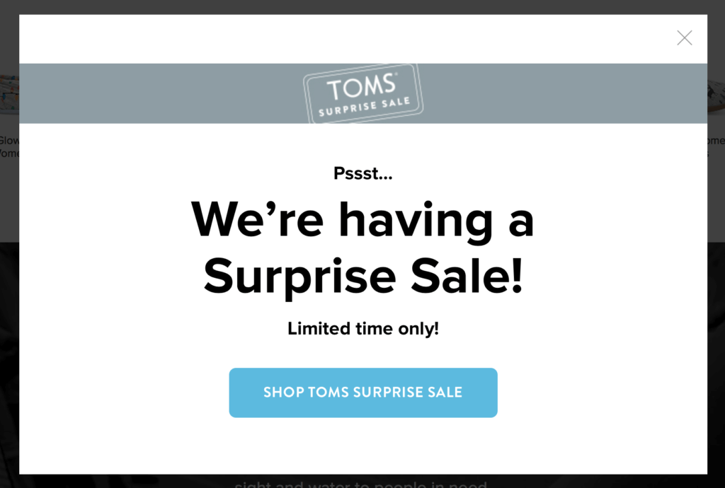 Surprise Sale CTA