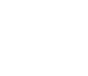 Ring Logo