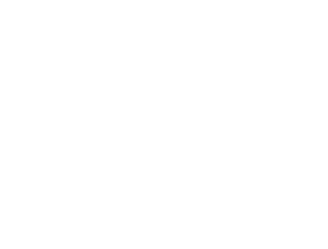Flytoday - white logo