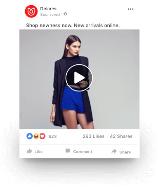 Facebook Video